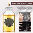 thumbnail image 3 of 2x Aceite anticaída de Polygonum Multiflorum para cubrir canas y teñir el cabello negro, aceite para el crecimiento del cabello, reparador para el cabello dañado y cuidado de las raíces, 3 of 5