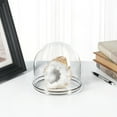 thumbnail image 3 of Plymor 5.5" x 5.5" Glass Display Dome Cloche with Silver Rim (Silver Rim Glass Tray Base), Pack of 4, 3 of 4