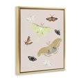 thumbnail image 3 of Stupell Industries Eclectic Moths & Butterflies on Pink Gold Floating Frame Canvas Art, 25 x 31, by Sweet Melody Designs, 3 of 8