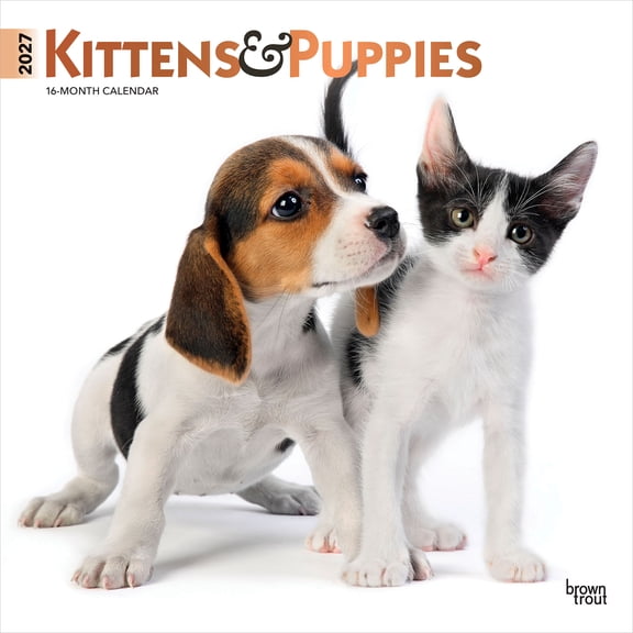 Kittens & Puppies 2027 12x24" (Hanging) Wall Calendar | Plastic-Free | BrownTrout