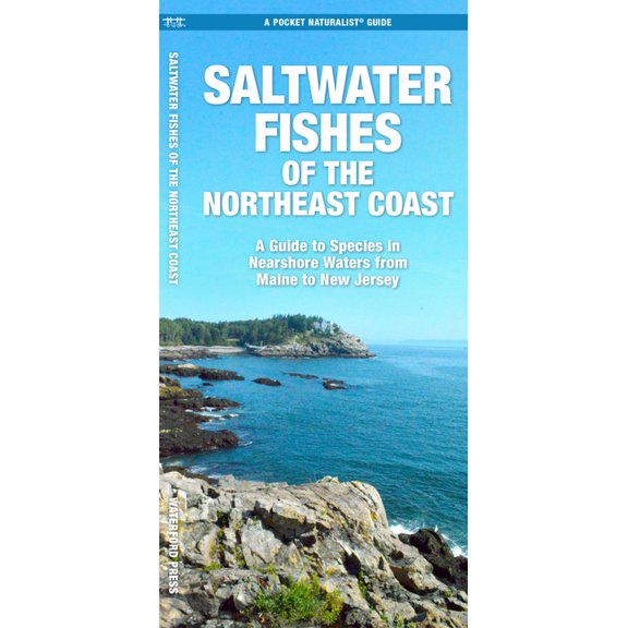 Nature Observation North America Saltwater Fishes of the Northeast Coast: A Guide to Species in Nearshore Waters from Maine to New Jersey, (Paperback)