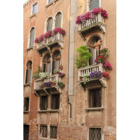 Venice Flower - Flower Decorating Windows. Venice. Italy Print Wall Art By Tom Norring