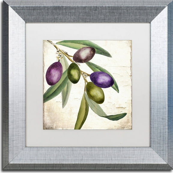 Trademark Fine Art "Olive Branch I" Canvas Art by Color Bakery, White Matte, Silver Frame