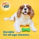 thumbnail image 5 of Hartz DuraPlay Juguete de Látex Chirriante para Perro en Forma de Hueso Paquete de 3 Tamaño Pequeño, 5 of 9
