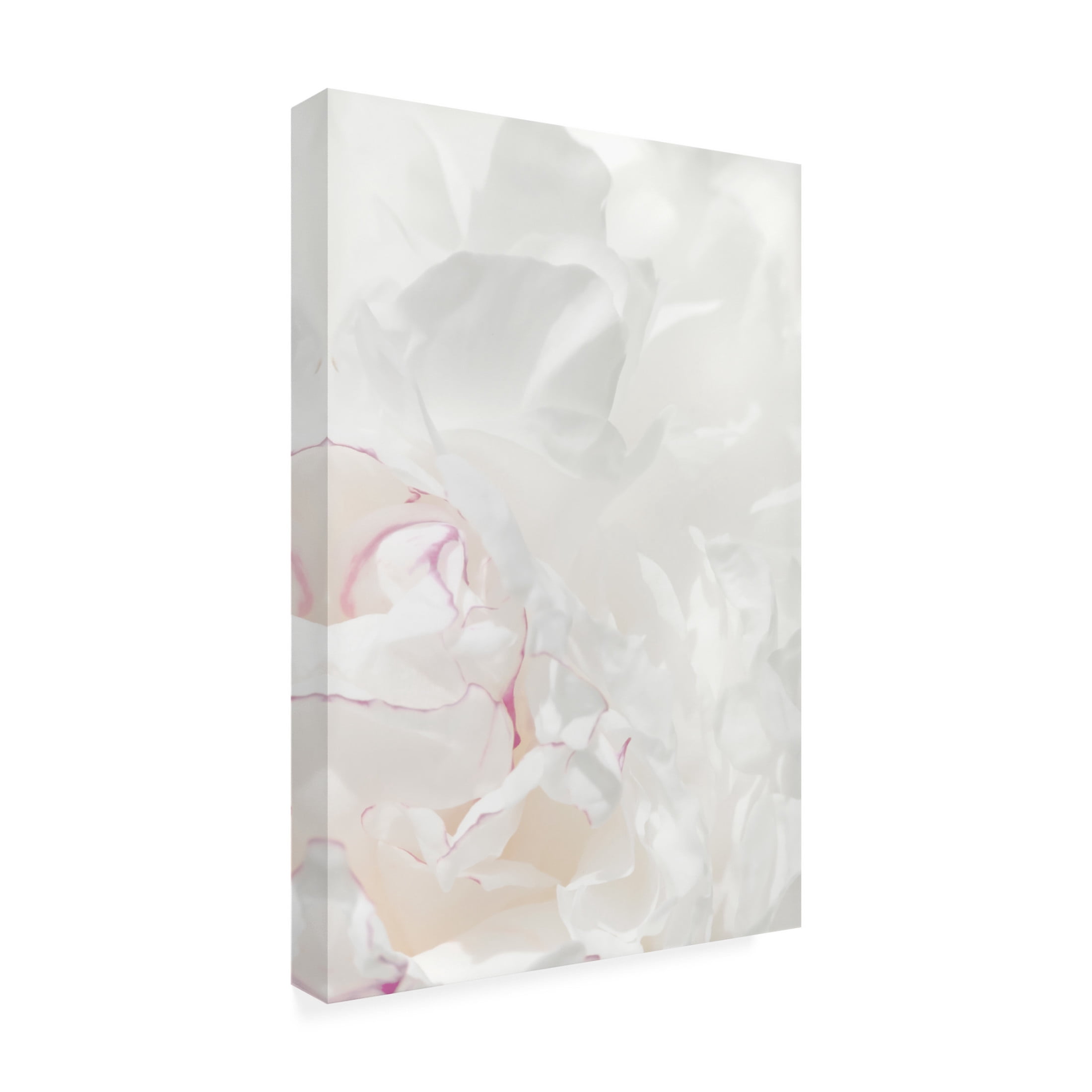 Trademark Fine Art Pictufy Studio III Peony 21 Canvas Wall Art