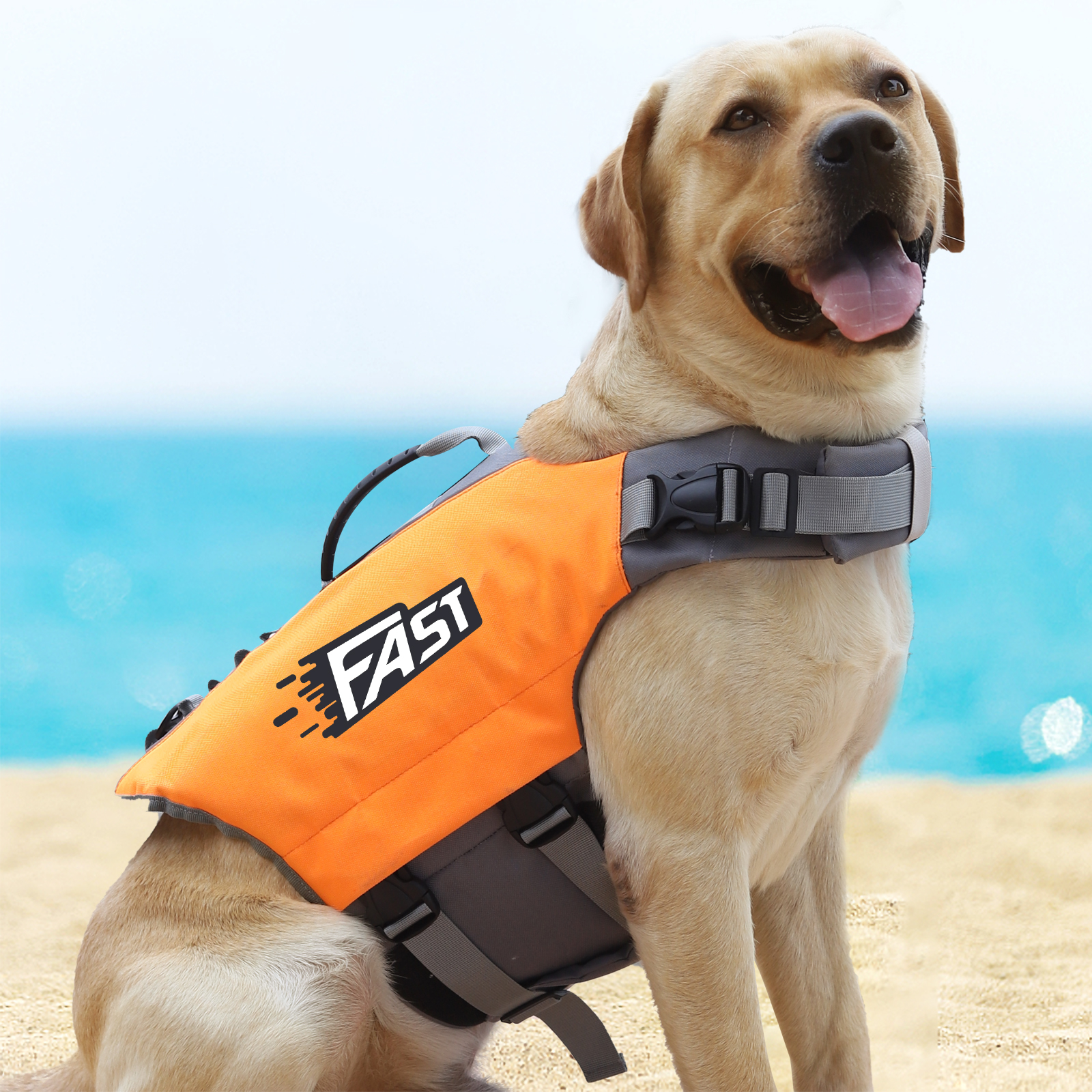 Amztom Dog Life Jacket, Quick Release Buckles & Rescue Handle, Adjustable Breathable Dog Life Vest for Swimming (Orange,S)