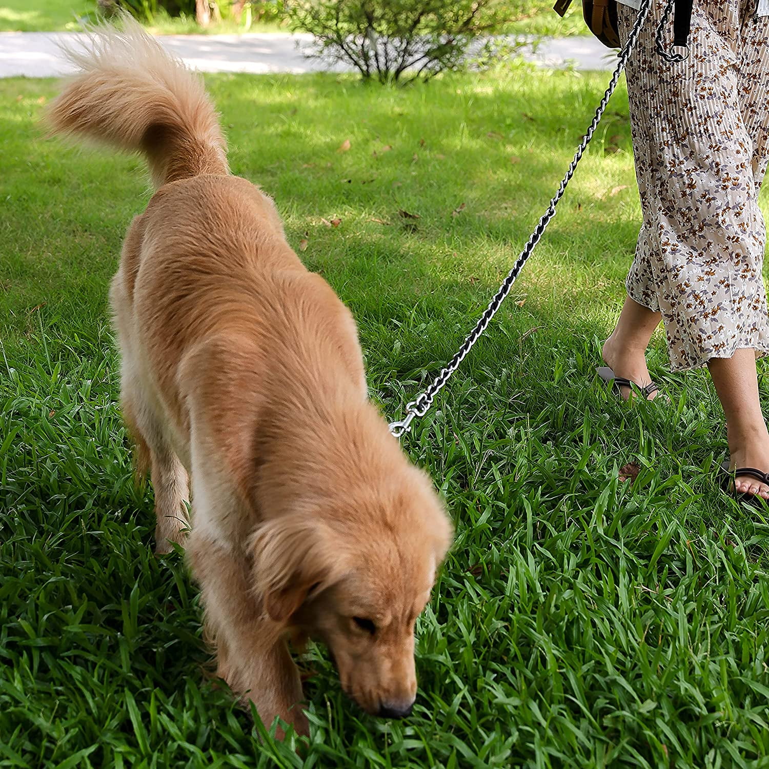 Anti chew leash hotsell