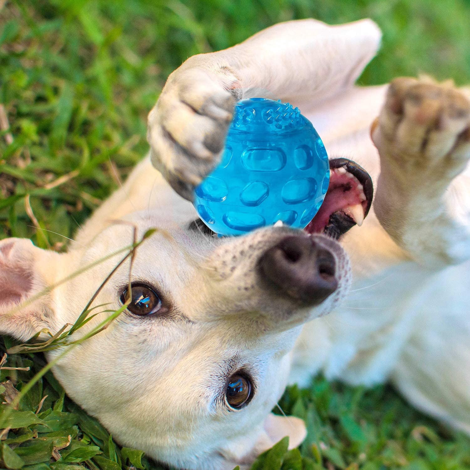 3'' Squeaky Dog Toy Balls for Lagre Medium Puppy, Indestructible Dog Balls for Playing, Fetching & Retrieving, Durable Aggressive Chewers, 3 PCS Purple+Blue+Green