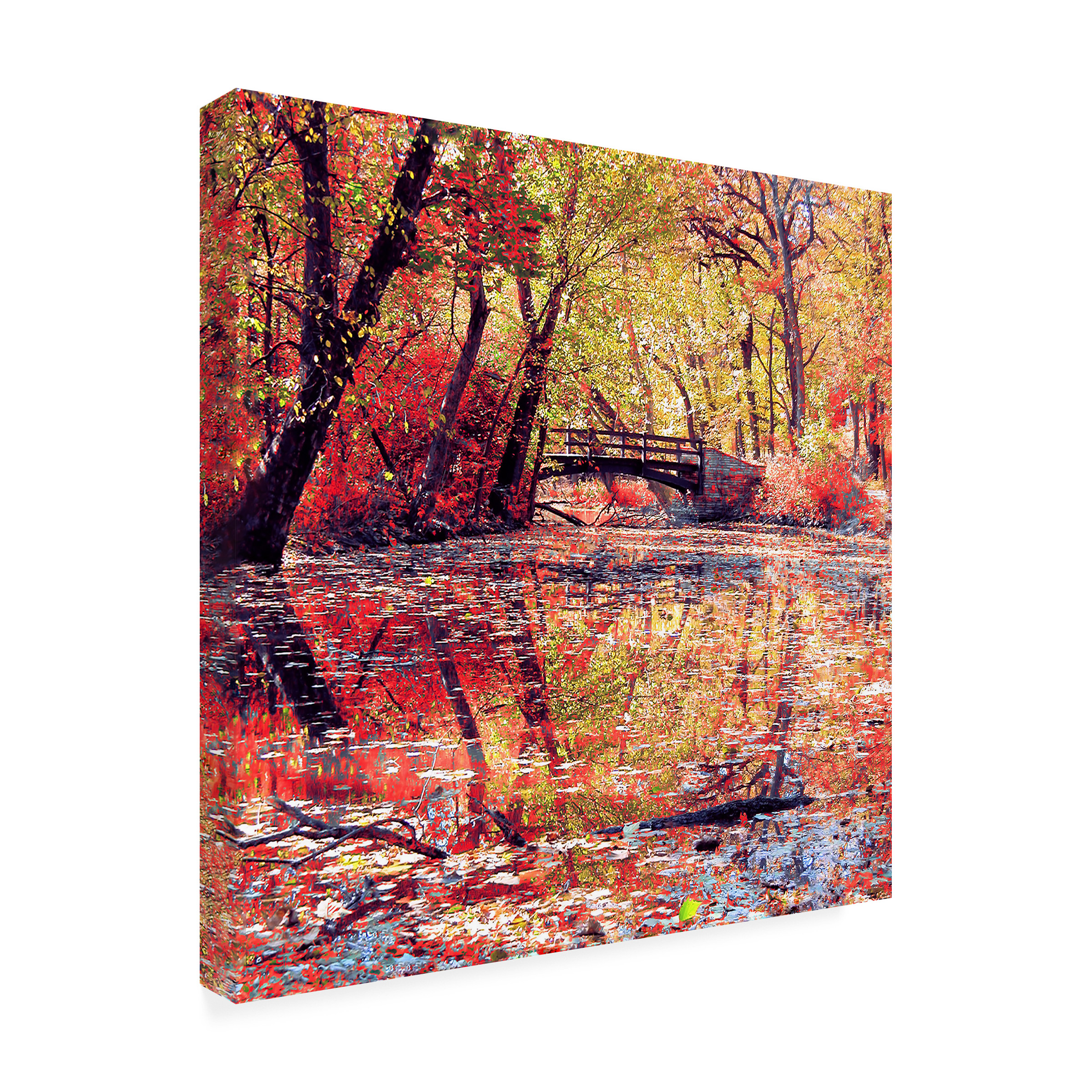 Trademark Fine Art "Monet's Garden" Canvas Art by Beata Czyzowska Young
