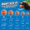 thumbnail image 3 of Juguete para perros Chuckit! Ultra Ball, tamaño mediano, para razas de 9 a 27 kg, paquete de 4, 3 of 6