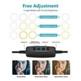 thumbnail image 2 of Neewer Table Top 10-inch USB LED Ring Light, Video Conference Lighting for Zoom Call Meeting/Remote Working/Self Broadcast/YouTube/TikTok/Live Stream, 3200K-5600K/3 Light Modes/Phone Holder, 2 of 3