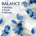 thumbnail image 5 of Downy Infusions Mega Dryer Sheets, Balance, Crisp Rain and Blue Eucalyptus, 80 Count, 5 of 13