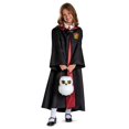 thumbnail image 2 of Sceau Ã  friandise Hedwige - Harry Potter, 2 of 2