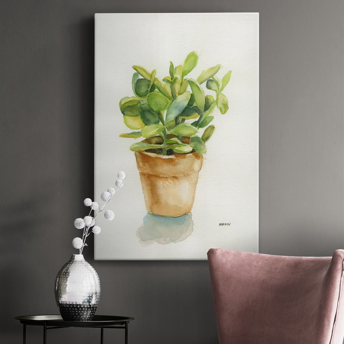 Succulent I Premium Gallery Wrapped Canvas - Ready to Hang