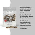 thumbnail image 5 of Icelandic+ Whole Fish & Pieces: Capelin - 2.5oz Bag - Dog Treats, Wild-Caught Air-Dried Fish, Single Ingredient Pet Snacks, Just The Fish Nothing Else, 5 of 6