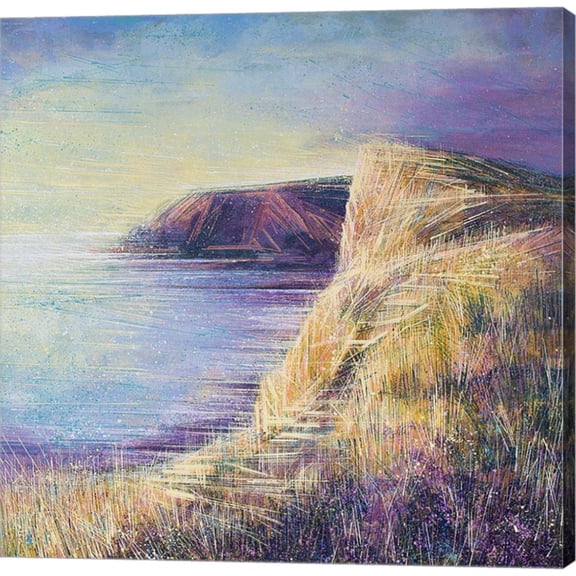 Coastal Cliffs At Sunset by Marc Todd, Canvas Wall Art, 24W x 24H