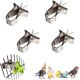 thumbnail image 1 of Comedero para pájaros de 4 piezas para loros, comedero para pájaros de acero inoxidable, soporte para frutas, soporte para verduras, clip para comida, soporte para comida para pájaros, accesorio para jaula de pájaros ER, 1 of 5