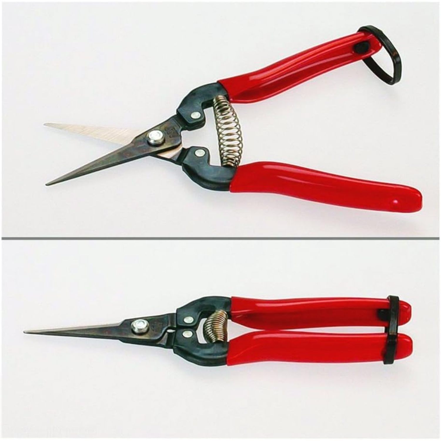 HElectQRIN 300L Needle Nose Fruit Pruners