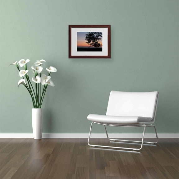 Trademark Fine Art "Soothing Symmetry" Canvas Art by Monica Fleet, White Matte, Wood Frame