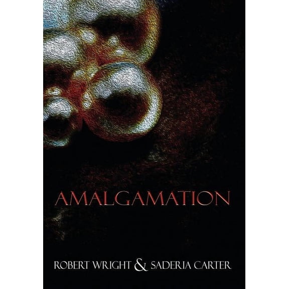 Amalgamation (Paperback)