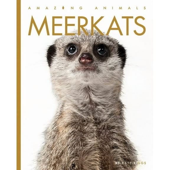Amazing Animals Meerkats, (Paperback)