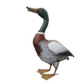 thumbnail image 6 of Fuebueo Farmhouse Duck Decor 18 Inch, Metal Mallard Figurine Indoor Outdoor, Rustic Country Kitchen Sculpture, Garden Pond Animal Ornament, 6 of 7