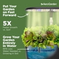 thumbnail image 6 of AeroGarden Bounty Basic - Indoor Garden with LED Grow Light, Black, 6 of 11