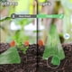 thumbnail image 5 of Toystoory 10 Uds ABS protección eficaz de las plantas con campanas de jardín adecuadas para todo tipo de plantas que ayudan al crecimiento Jardín y Patio, 5 of 6