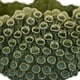 thumbnail image 3 of Cuenco decorativo Benzara Nina Green Ceramic 36cm, 3 of 5