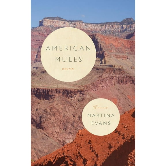 American Mules, (Paperback)