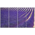 thumbnail image 2 of Lavender Blooming Fields as Texture - Oversized Landscape Wall Art Print, 2 of 3