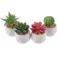 thumbnail image 4 of 4pcs Artificial Potted Plant Decoration Vivid Succulent Model for Indoors and Outdoors Desk, 4 of 11