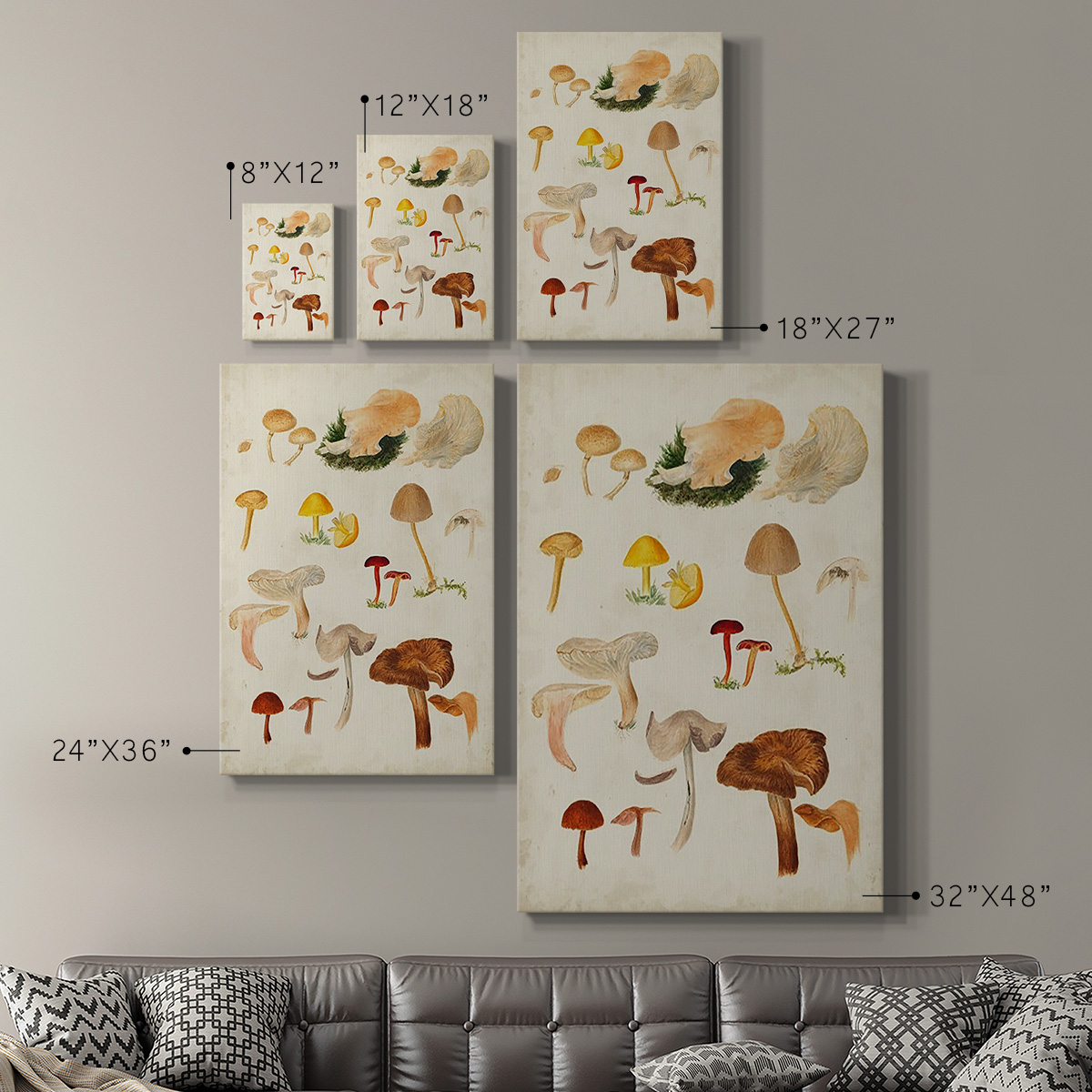 Mushroom Species XII Premium Gallery Wrapped Canvas - Ready to Hang
