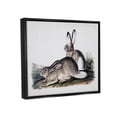 thumbnail image 3 of Rabbit Duo Gazing Animals Animals & Insects Painting Jet Black Framed Art Print Wall Art, 3 of 6