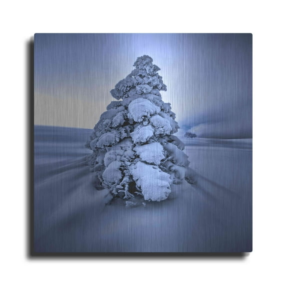 Luxe Metal Art 'And the Wind Blows' by Philippe Sainte-Laudy, Metal Wall Art, 24"x24"