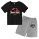 thumbnail image 3 of 2024 Nuevo traje de camiseta con estampado de grafiti para niños, diseño de dinosaurio, camiseta estampada + pantalones cortos, 2 piezas, conjunto de moda para niños y niñas, 3 of 5