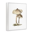 thumbnail image 4 of Stupell Industries Neutral Brown Mushrooms Botanical & Floral Painting White Framed Art Print Wall Art, 16 x 20, 4 of 10