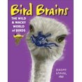 thumbnail image 1 of Bird Brains, Jeremy Hyman Hardcover, 1 of 2