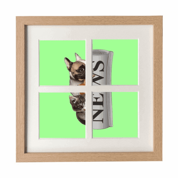 Roll Newspaper Pet Group Art Deco Fashion Frame Wall Tabletop Display 4 Openings Picture