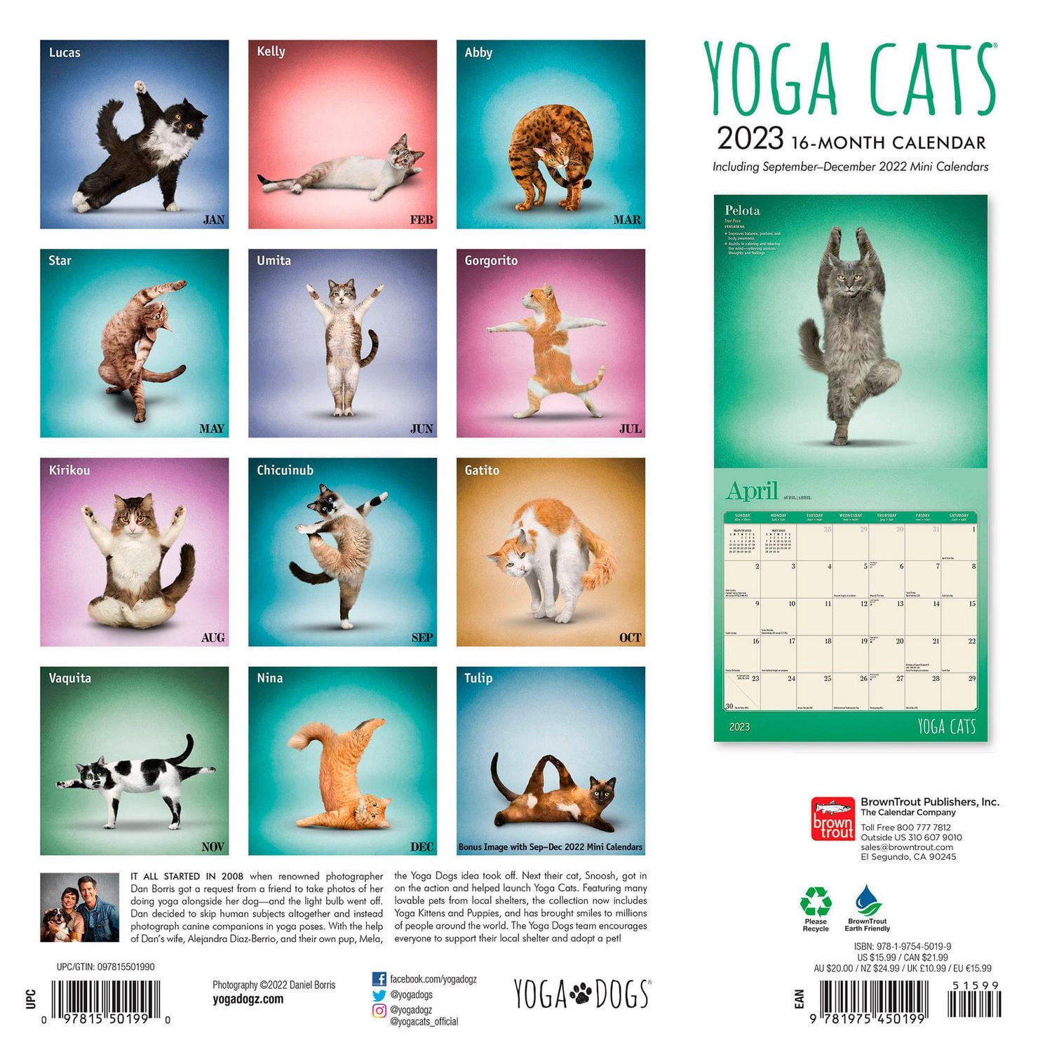 Yoga Cats 2023 Square