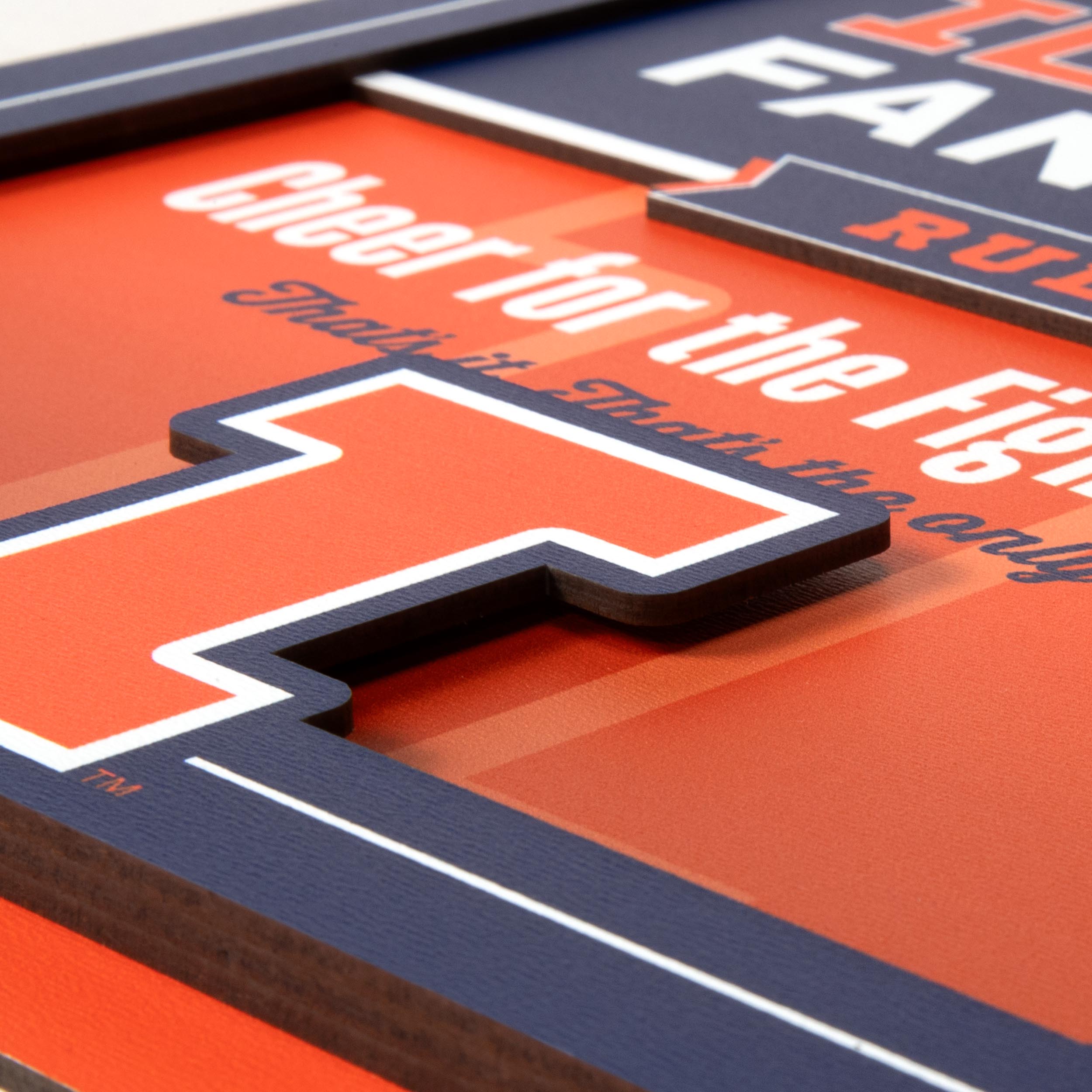 YouTheFan NCAA Illinois Fighting illini Fan Rules 3D Wall Art