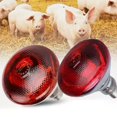 thumbnail image 2 of INFRA RED HEAT BULB LAMP 100-275W Poultry Chick Brooder Lambs LivestockA Z3W2 NEW, 2 of 7