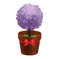 thumbnail image 3 of LEEYNEER Clearance Christmas Simulation Crystal Flower 6 Colors 12 Crystals Chemical Science Experiment Fast Growth In 24 Hours DIY Kit Family Toy Gifts For Boys And Girls Best Gift, 3 of 5