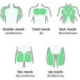 thumbnail image 4 of 6 Speeds Muscle Massage Gun Handheld Deep Tissue Muscle Massager Cordless Percussion with 4 Massage Heads, 4 of 5