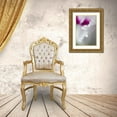 thumbnail image 3 of Rotenberg, Nancy 11x14 Gold Ornate Wood Framed with Double Matting Museum Art Print Titled - Cyclamen flower close-up, 3 of 4