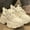 White, variant on Women's Fashion Chunky Sneakers - Lace-Up Air Mesh | Dad Sneaker Style for Walking & Tennis