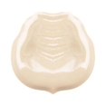 thumbnail image 3 of Base de Maquillaje Líquida Lord and Berry Cream 50 mL Marfil Pálido 8616, 3 of 8
