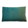 thumbnail image 1 of Ahgly Company Indoor Rectangular Contemporary Lumbar Throw Pillow, 13 inch by 19 inch, 1 of 5