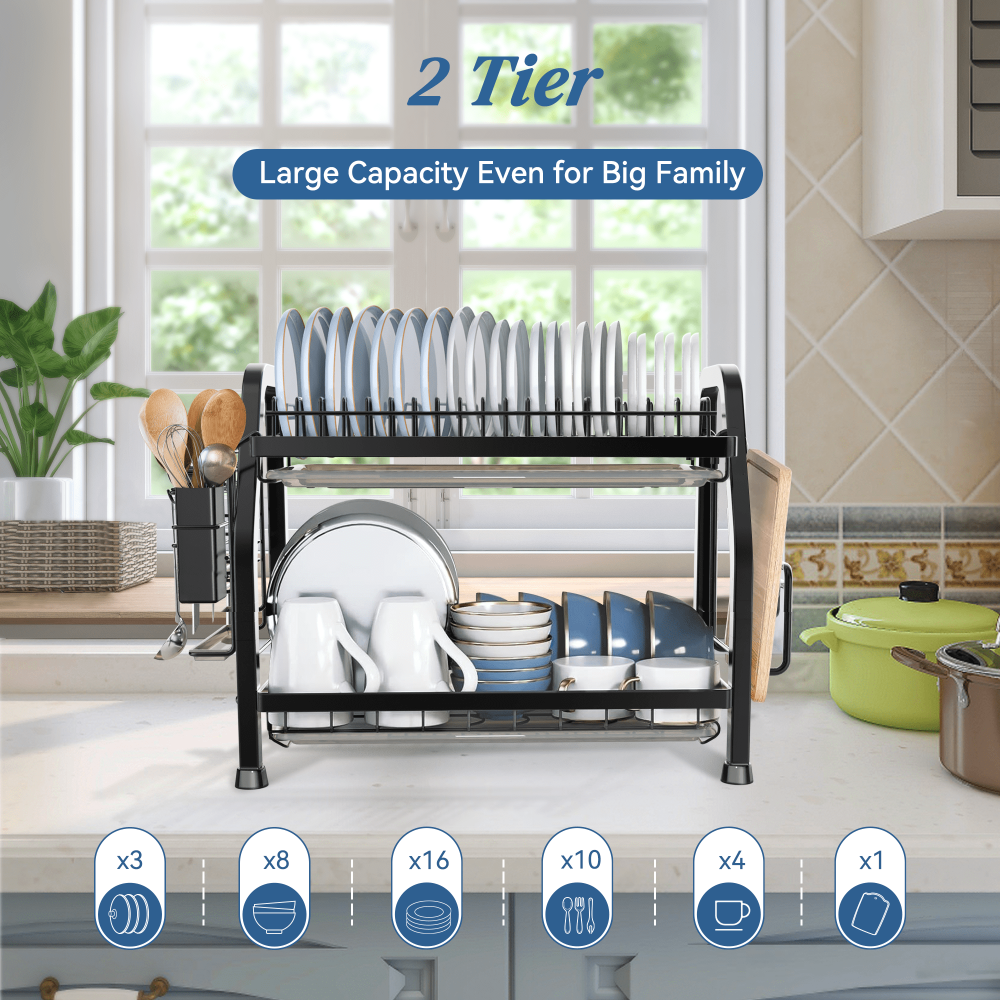 Riousery 2 Tier Dish Racks for Kitchen Counter, Dish Drying Rack