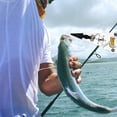 thumbnail image 3 of Uds. Herramientas de alicates de pesca, juego de herramientas de pesca, juego de alicates de pesca portátiles y pinzas para pescado, herramienta para quitar ganchos y agarre de labios para pescadores, 3 of 8